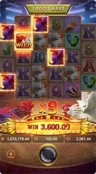 talas89 · Rooster Rbl